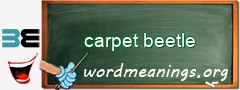 WordMeaning blackboard for carpet beetle